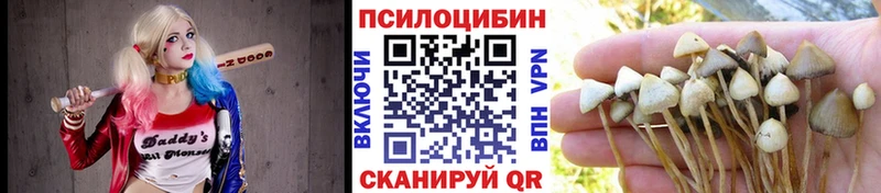 Псилоцибиновые грибы Magic Shrooms  Арск 